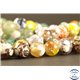 Perles semi précieuses en Agate - Rondes/12 mm - Vert Multi