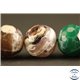 Perles semi précieuses en Agate - Rondes/12 mm - Vert Multi