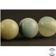 Perles semi précieuses en amazonite - Rondes/10 mm
