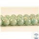 Perles semi précieuses en amazonite - Rondes/6 mm - Turquoise Clair