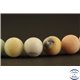 Perles semi précieuses en amazonite - Rondes/8 mm - Vert Multicolore