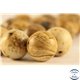 Perles semi précieuses en jaspe - Rondes/12 mm - Beige