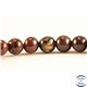 Perles en jaspe rouge - Rondes/4mm - Grade AB+