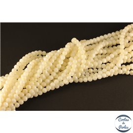 Perles en coquillage - Rondes/5,5 mm - Blanc