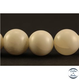 Perles en coquillage - Rondes/8 mm - Blanc