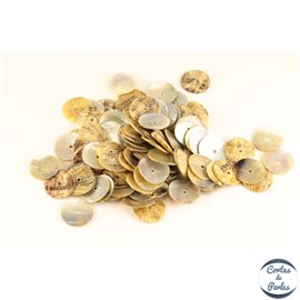 Perles en Nacre - Disques/15mm