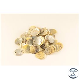 Perles en Nacre - Disques/15 mm - Double trous