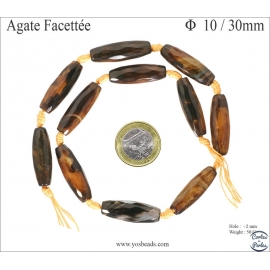 Perles semi précieuses en agate - Tube/10 mm - Fauve