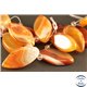 Pendentifs en Agate - Ellipse/27 mm - Orange