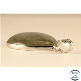 Pendentifs en Labradorite - Gouttes/42 mm