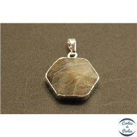 Pendentifs en Moonstone - Hexagones/27 mm