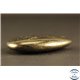 Pendentifs en Pyrite - Gouttes/40 mm