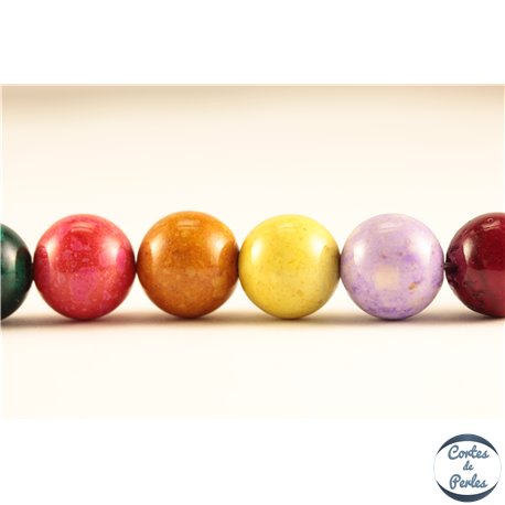 Perles semi précieuses en pierre de fossile - Rondes/10 mm - Multicolore