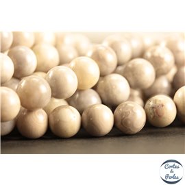 Perles en malachite blanche - Rondes/8mm