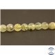 Perles semi précieuses en préhnite - Rondes/6 mm