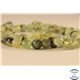 Perles semi précieuses en préhnite - Rondes/6 mm