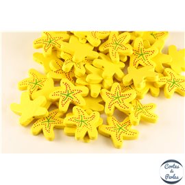Pendentifs en Coco - Etoile/30 mm