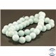 Perles semi précieuses en jade mashan - Rondes/10 mm - Turquoise Clair