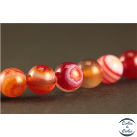 Perles semi précieuses en Agate - Rondes/6 mm - Dark Red