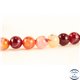 Perles semi précieuses en Agate - Rondes/6 mm - Dark Red