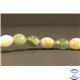 Perles semi précieuses en Jade - Ovale/8 mm - Butter Jade