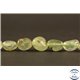 Perles semi précieuses en Préhnite - Nuggets/5-10 mm