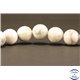 Perles semi précieuses en Howlite - Ronde/10 mm