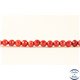 Perles semi précieuses en Corail - Ronde/3 mm - Dark Red