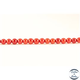 Perles en corail dark red - Rondes/3.5mm