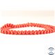 Perles semi précieuses en Corail - Ronde/4 mm - Rouge