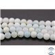 Perles en amazonite - Rondes/6mm