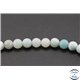 Perles en amazonite - Rondes/6mm