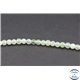 Perles semi précieuses en serpentine - Rondes/4 mm - Vert pâle