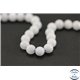 Perles en calcite blanche - Rondes/6mm