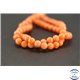 Perles semi précieuses en corail - Rondes/6 mm - Citrouille